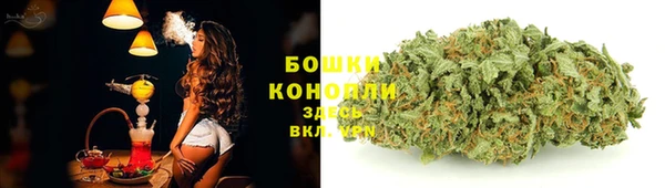индика Навашино