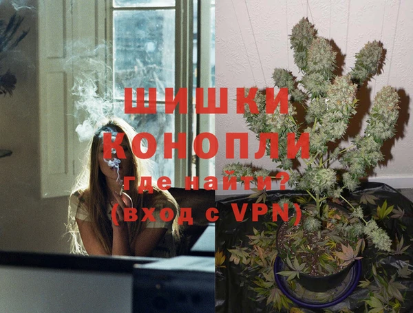 индика Навашино
