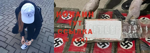 индика Навашино