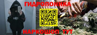 PSILOCYBIN Гусев