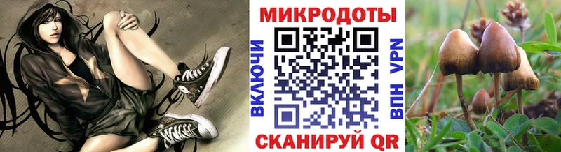 хочу наркоту  Нижний Тагил  Галлюциногенные грибы мухоморы 