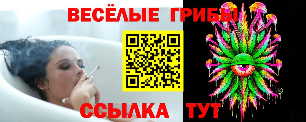 Галлюциногенные грибы мухоморы Нижний Тагил